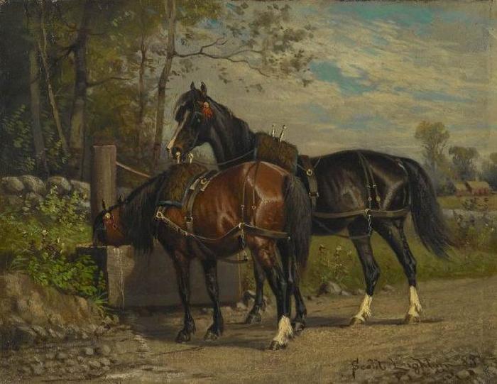 unknow artist Two Horses at a Wayside Trough France oil painting art